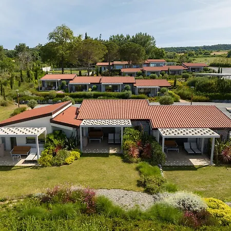 Mount Athos לריסוס